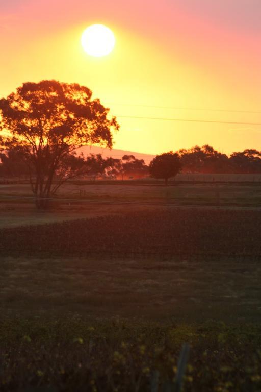 The Vineyard Motel Cowra Esterno foto