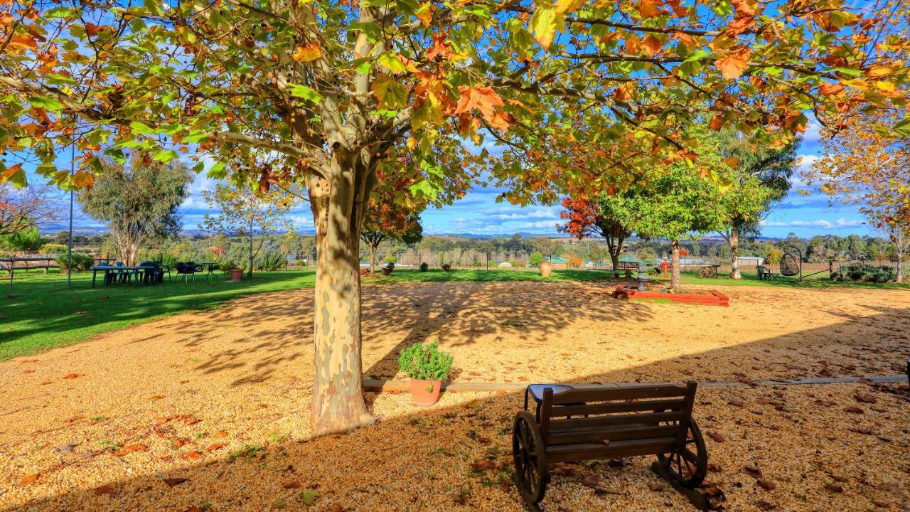 The Vineyard Motel Cowra Esterno foto