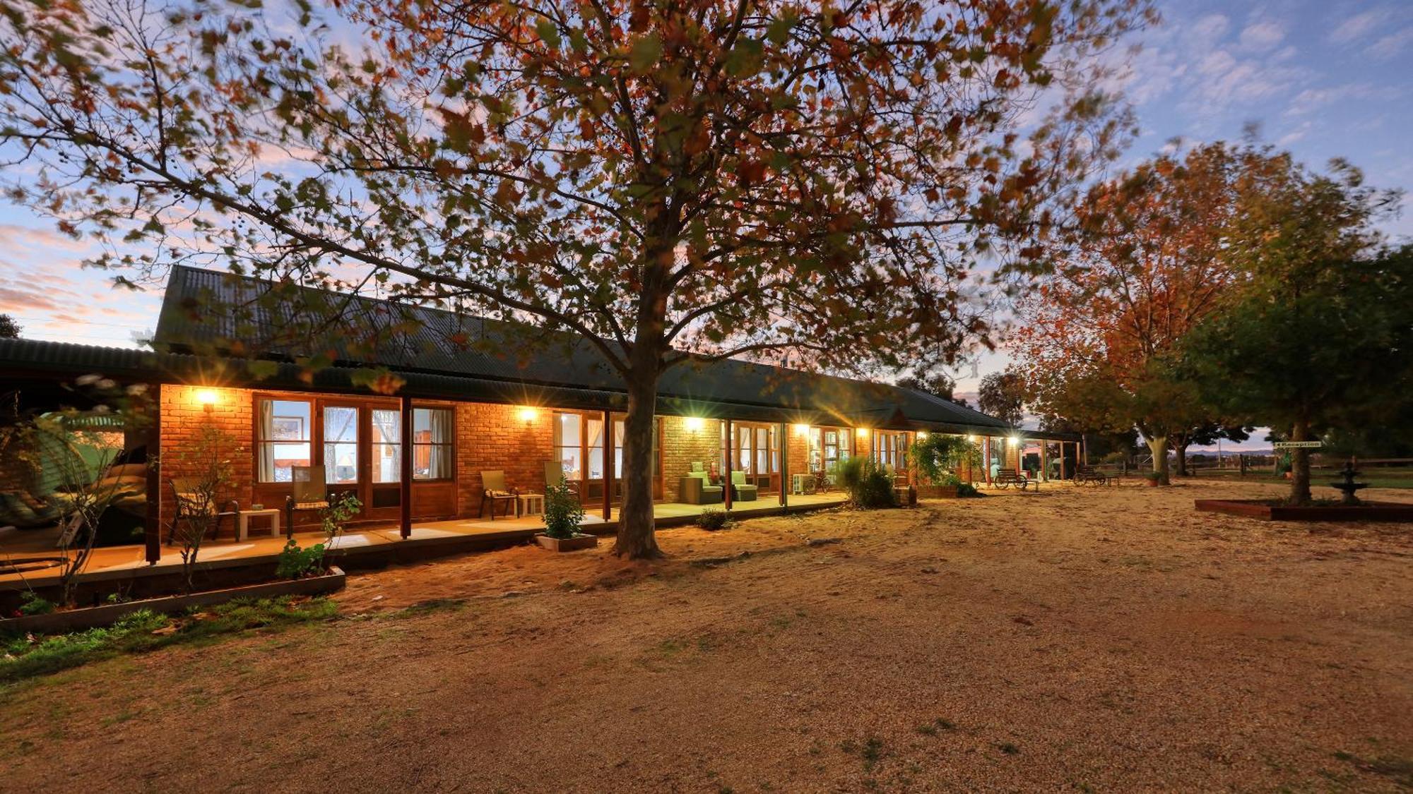 The Vineyard Motel Cowra Esterno foto