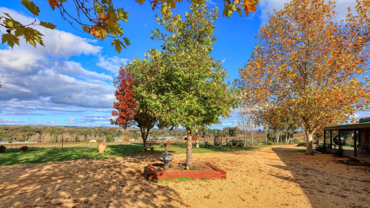 The Vineyard Motel Cowra Esterno foto