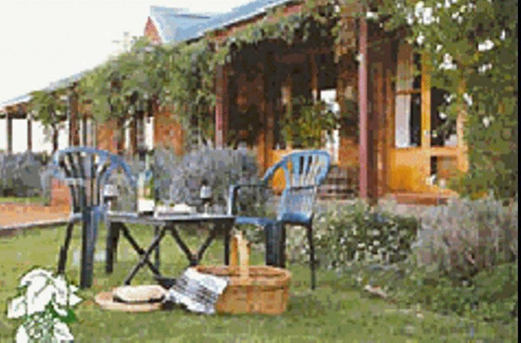 The Vineyard Motel Cowra Esterno foto